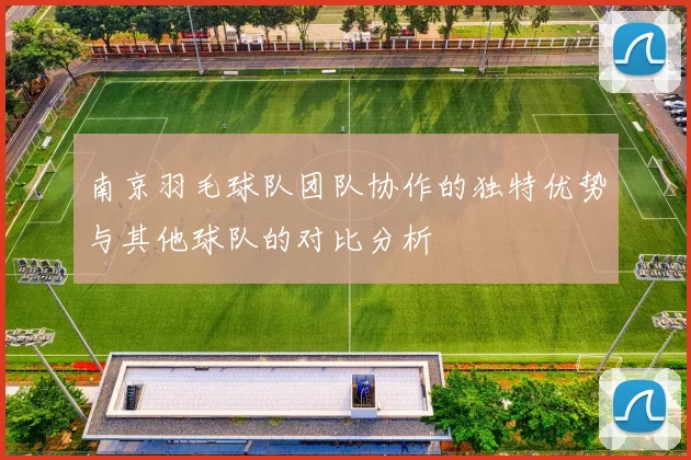 南京羽毛球队团队协作的独特优势与其他球队的对比分析