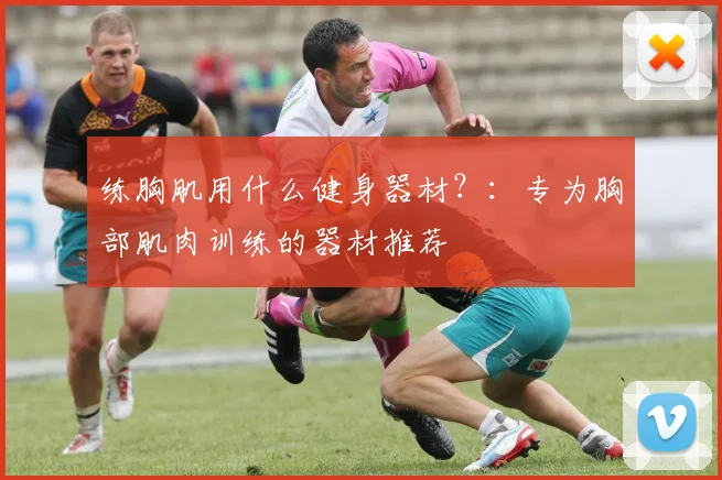 练胸肌用什么健身器材？：专为胸部肌肉训练的器材推荐